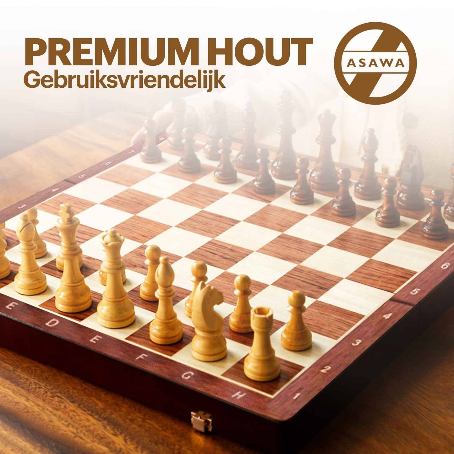 Magnetisch schaakbord